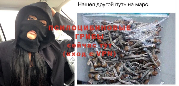 дмт Алзамай